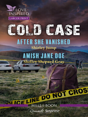 After She Vanished / Amish Jane Doe - ebook